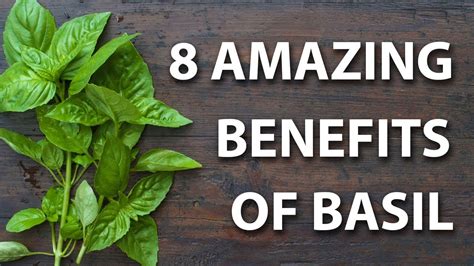 8 Health Benefits Of Basil Youtube