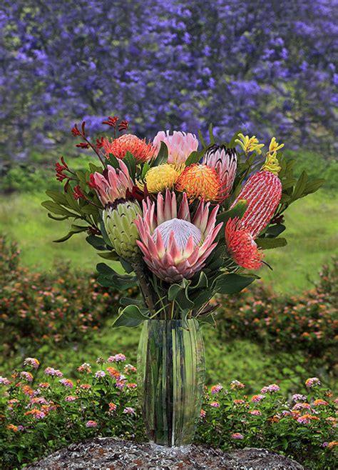 Proteas Of Hawaii Protea Cut Flower Bouquets