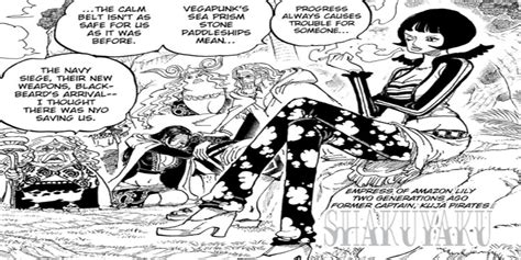 One Piece Revela O Chocante Passado Pirata De Shakky Not Cias De Filmes