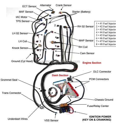 Ls1 Coil Wiring Harness Diagram Painless Schematic And Wiring Diagram