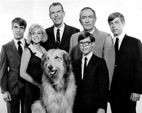 My Three Sons 1967 Cast From The Tv Series 8x10 Publicity Photo Ab