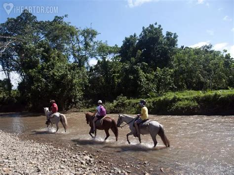 River Horseback Riding Adventure Iheartdr