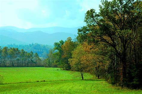 Top 6 Reasons Why You Should Drive The Cades Cove Loop