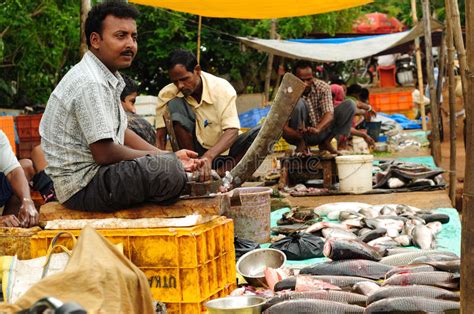 Fish Market In India Editorial Photo Image Of Selling 19902116