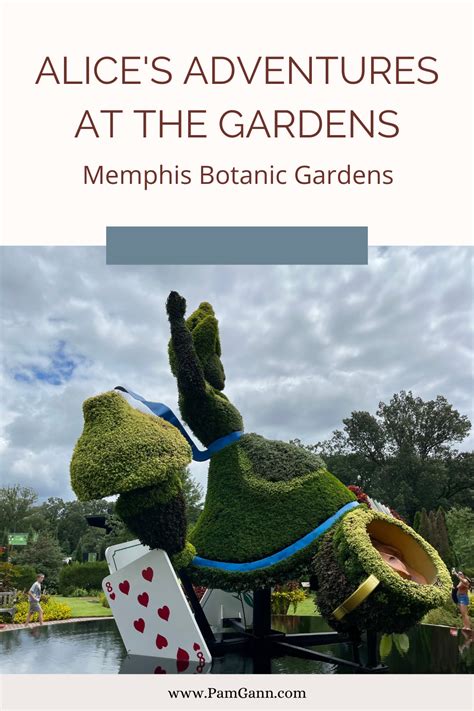 Alice S Adventures At The Gardens Memphis Botanic Garden Artofit