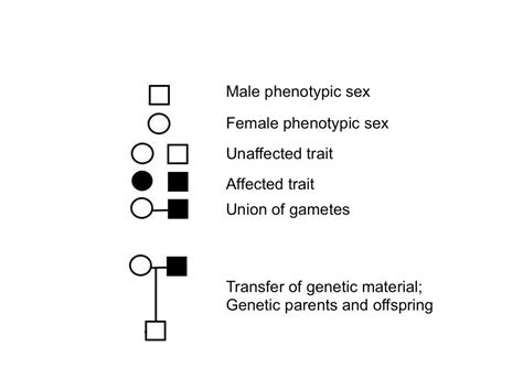 Gender Inclusive Pedigree Charts — Gender Inclusive Biology