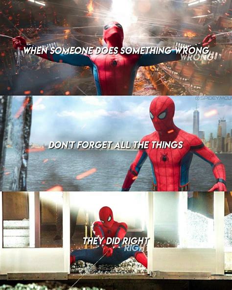 Funny Spider Man Quotes Shortquotescc