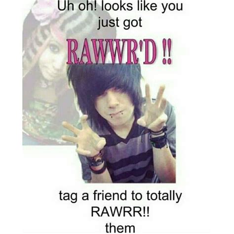 Pin By Flip Bayless On Funny Rawr Xd Stupid Memes Funny Memes