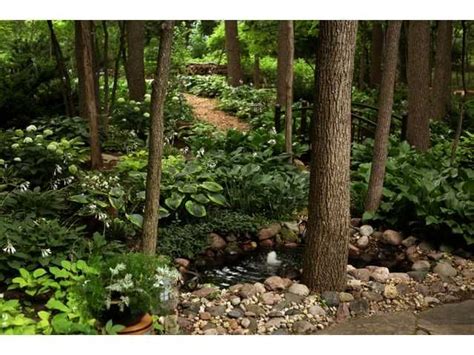 We all love the idea of updating our yards from time to time (but without going broke. Finding a solution for even the peskiest landscape problem ...