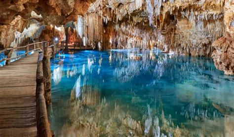 Cenotes Playa del Carmen – Los mejores para visitar - Info Quintana Roo