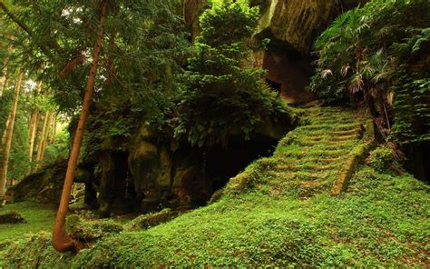 Nature Leaves Trees Forest Rock Stairs Grass Overgrown