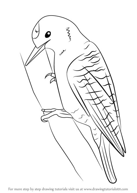 How to draw woodpecker step by step easy in this video we are going to learn how to draw a woodpecker for kids. Learn How to Draw a Woodpecker (Woodpeckers) Step by Step ...