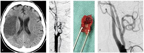 Unsere redaktion hat bei deren auswahl hohen wert auf relevanz und qualität der quellen gelegt. - Bayerisches Ärzteblatt