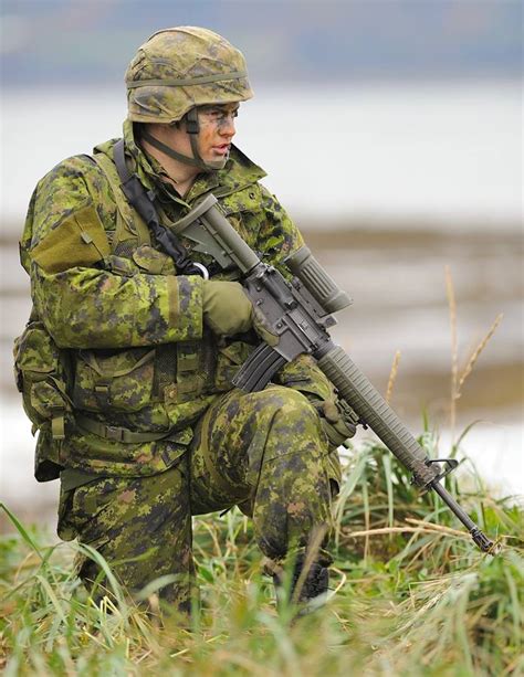 Guest Post The Canadian Forces C7a2 Upgrade The Firearm Blog