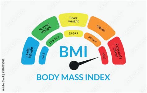 Body Mass Index Infographic Chart Colorful Bmi Chart Vector Illustration With White Isolated