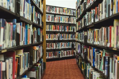 7 Reasons Why Libraries Are Still Important In The 21st Century