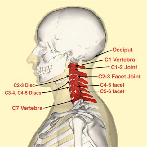 Jefferson Headache And Spine Headache