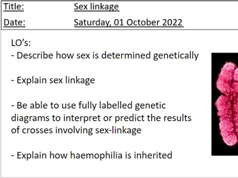 Sex Linkage A Level Biology Teaching Resources