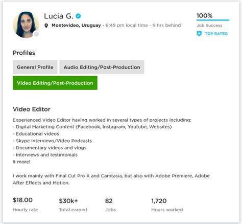 Upwork Profile Overview Sample For Video Editor 2d 3d Animation