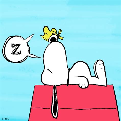 Peanuts On Twitter Nap Time 💤💤💤 6z4dggfopo