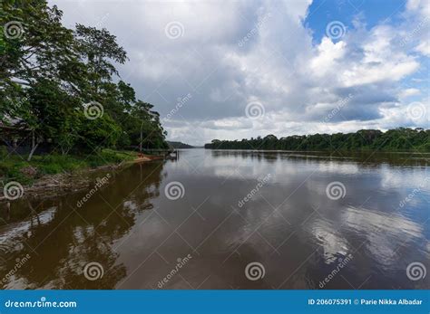 Long River Through Jungle Scenery In Brokopondo Suriname Stock Image