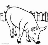 Coloring Pig Ears Printable Animal Cool2bkids Dog Designlooter 47kb 753px sketch template