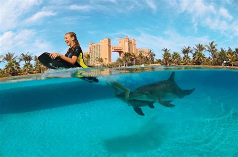 Shore Excursion Atlantis Dolphin Deep Water Interaction And Beach