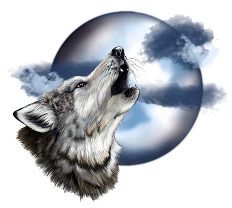 Drawn Howling Wolf Night Pencil And In Color Drawn Howling Wolf Night