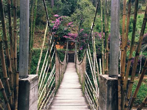 Imagen Gratis Puente De Madera Puente Colgante Verano Viaje