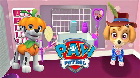 Paw Patrol Wild Cat Paw Patrol Toy Rubble Marshal Chase Paw Patrol