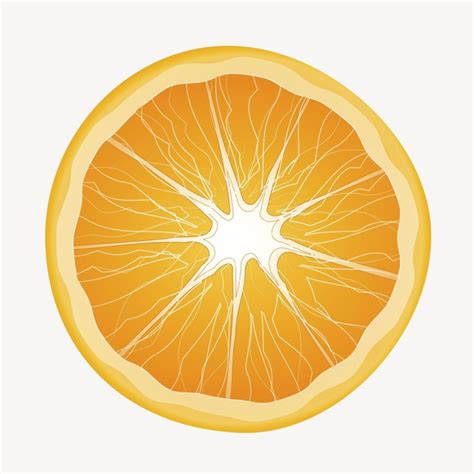 Half Orange Clip Art Color Free Photo Rawpixel Nohat Free For