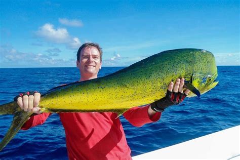 How To Fish For Mahi Mahi The Complete Guide Updated 2023