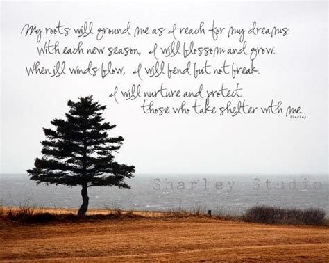 10 Inspirational Tree Quotes And Sayings Swan Quote