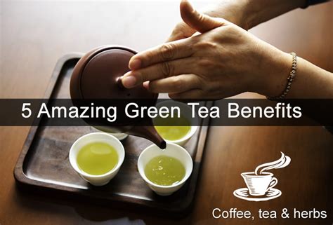 5 Amazing Green Tea Benefits Coffee Tea And Herbs