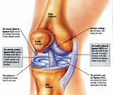 Photos of Strengthening Muscles Around Si Joint