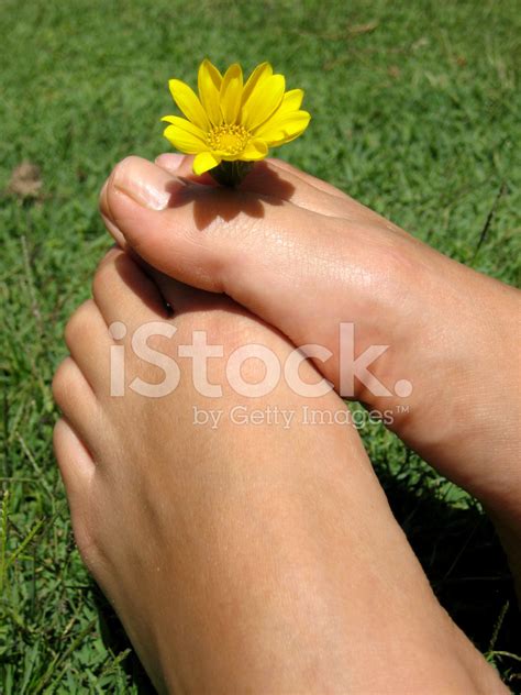 Feet Flower Stock Photo Royalty Free Freeimages