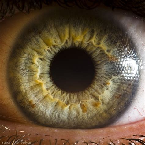 These 13 Fascinating Close Ups Of The Human Eye Will Mesmerize You