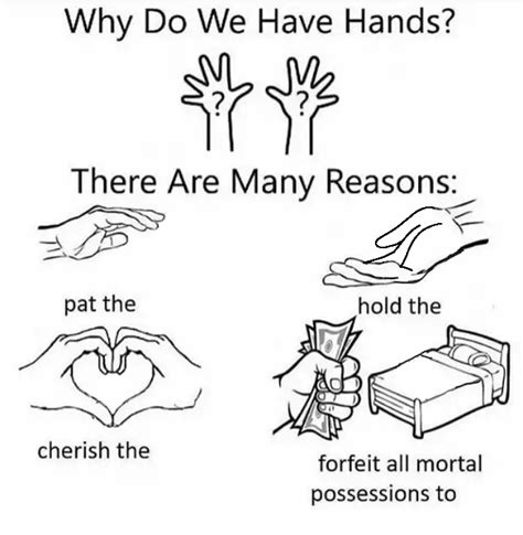 Why Do We Have Hands Blank Template Imgflip