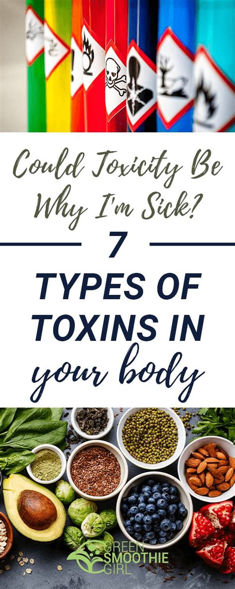Video Could Toxicity Be Why I M Sick Types Of Toxins In Your Body
