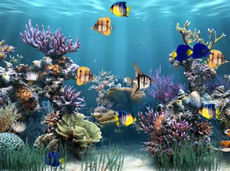 🔥 49 Free Animated Fish Aquarium Wallpaper Wallpapersafari