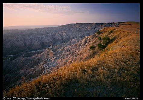 Picturephoto Prairie Grasses And Erosion Canyon At Sunrise
