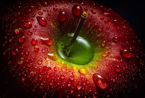 Join The Still Life Macro Photo Contest And Win Professional Tripod And