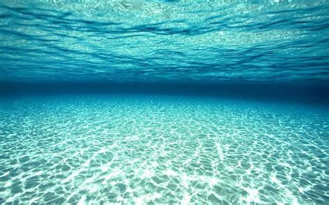 Download Wallpaper Photo Underwater Gambar Populer Terbaik Posts Id