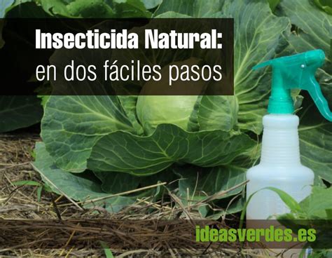 DIY Cómo hacer un insecticida natural Ideas Verdes Insecticidas