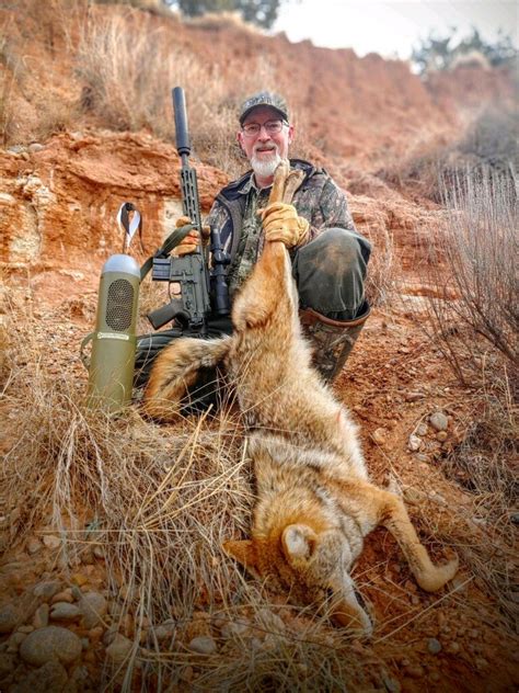 How To Call Educated Coyotes Tips From Professional Predator Hunter