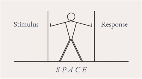 Between Stimulus And Response There Is A Space