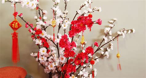 Top 31 Chinese New Year Flowers Fruits Ideas To Buy 2024