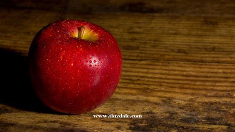 100 Best Apple Quotes Captions And Sayings For Kids