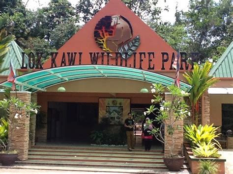 Mari terokai hidupan liar di lok kawi wildlife park. Cadangan Pindah Taman Hidupan Liar Lok Kawi - MYNEWSHUB