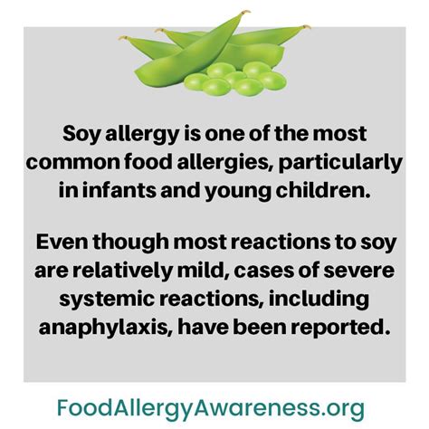 Food Allergy And Anaphylaxis Food Allergens Soy